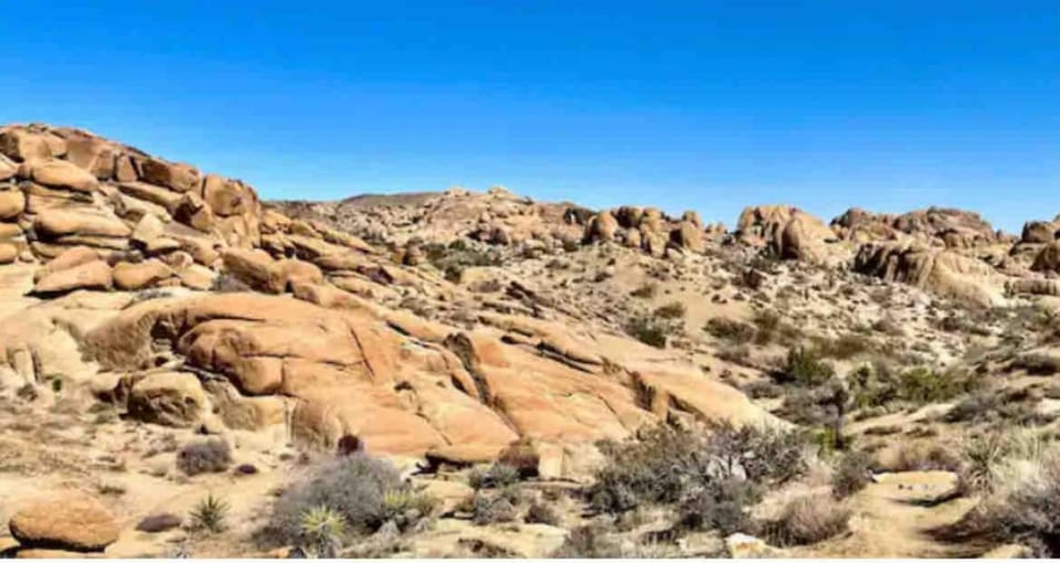 Jt Desert Dwelling House in Twentynine Palms