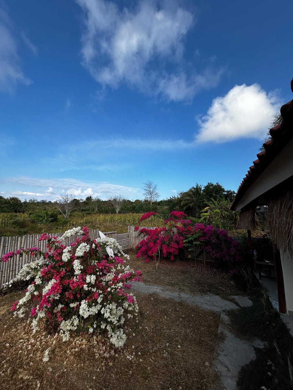 Ekas Elen Homestay Vacation rental in West Nusa Tenggara, Indonesia