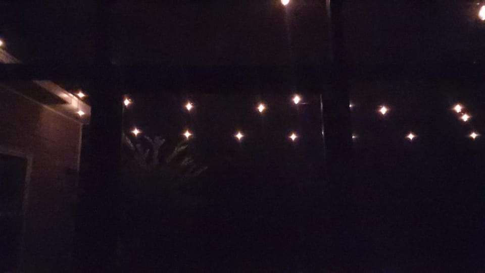 Night