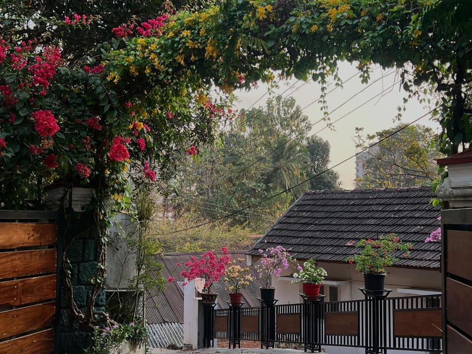 Day, Garden, Garden, Garden view