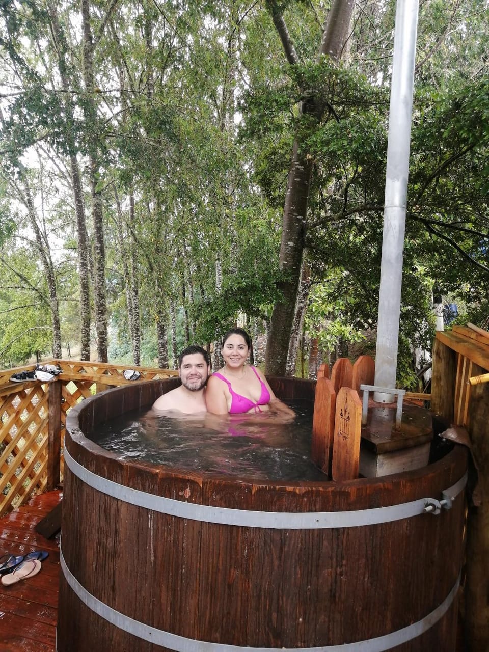 Cabañas Huilipan Gonzalez Country House in Araucania, Chile