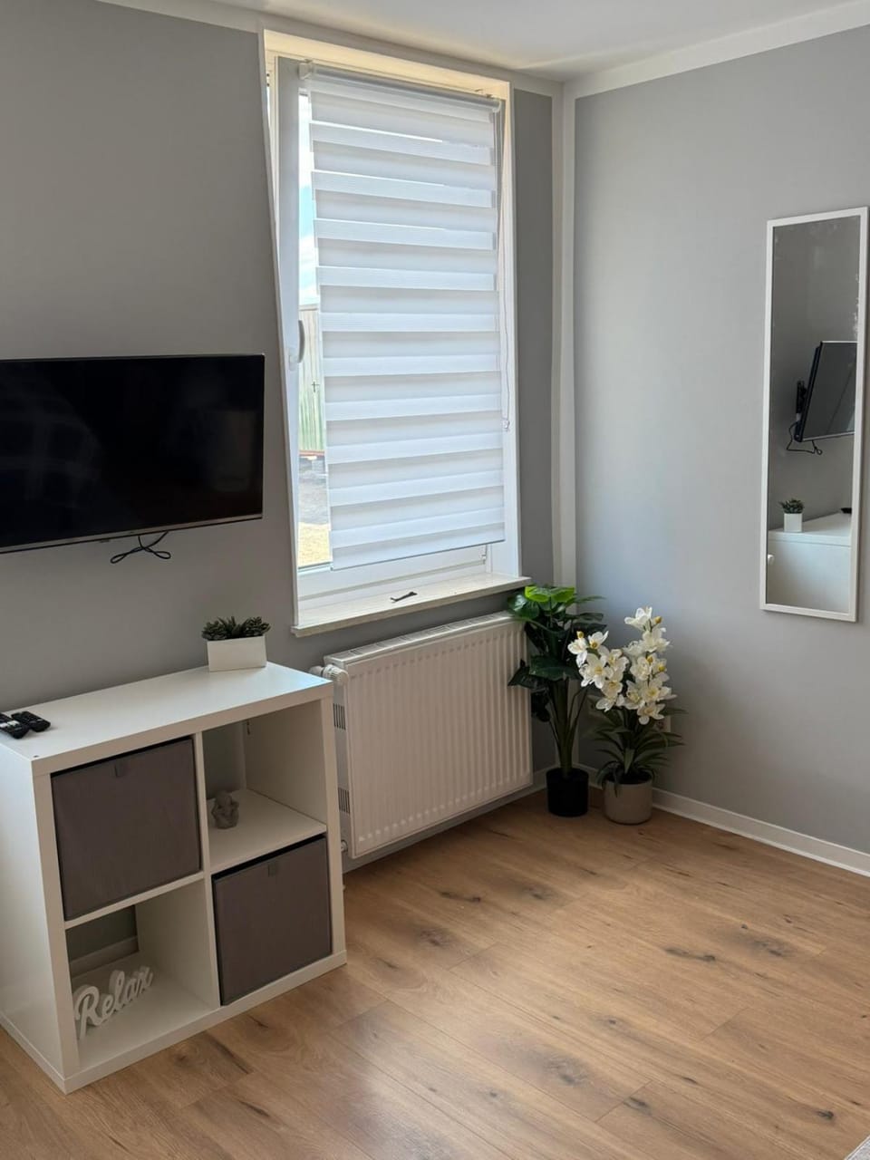 TV and multimedia