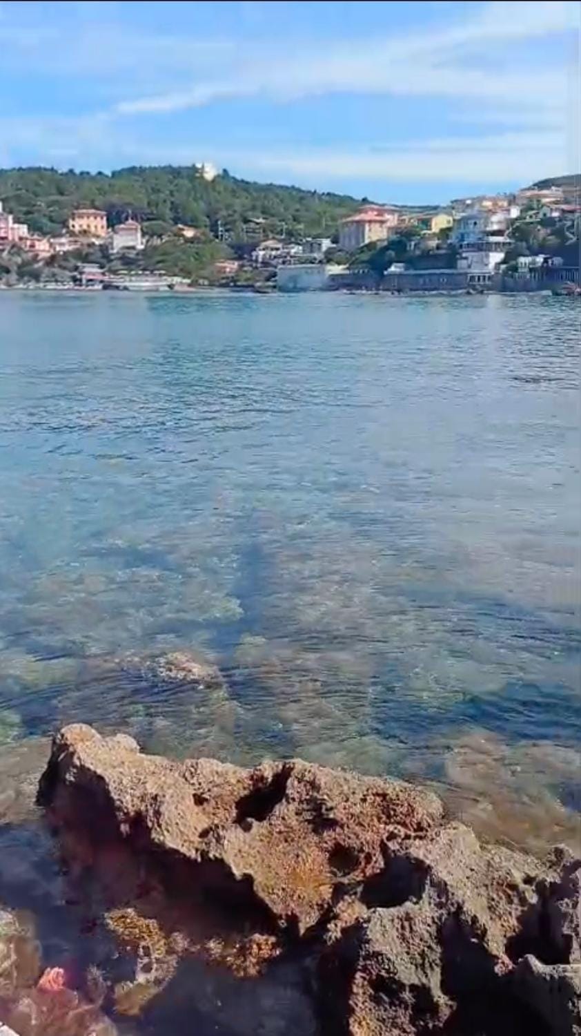 A due passi dal mare Apartment in Rosignano Solvay