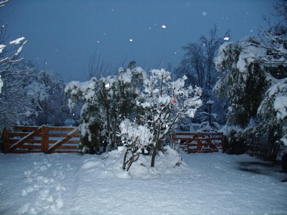 Property building, Winter