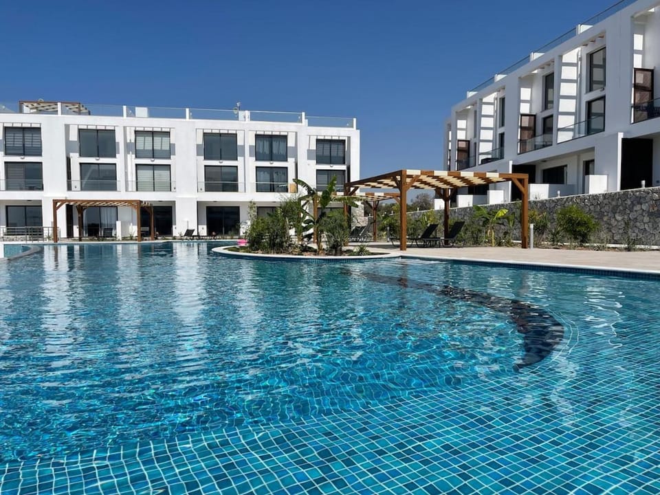 Pool view, Swimming pool, sunbed
