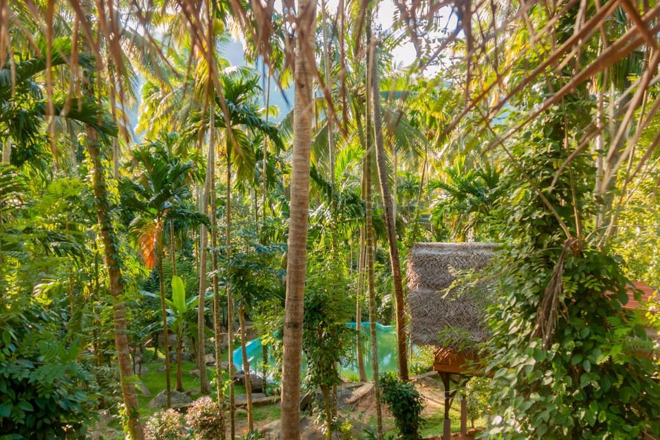 Day, Natural landscape, Garden, Garden view