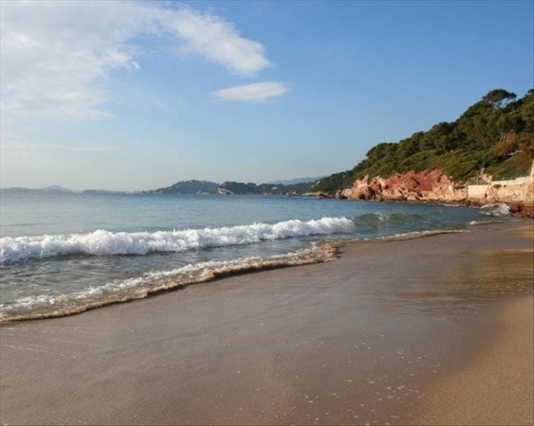 Appartement cosy entre plages et centre ville Apartment in French Riviera