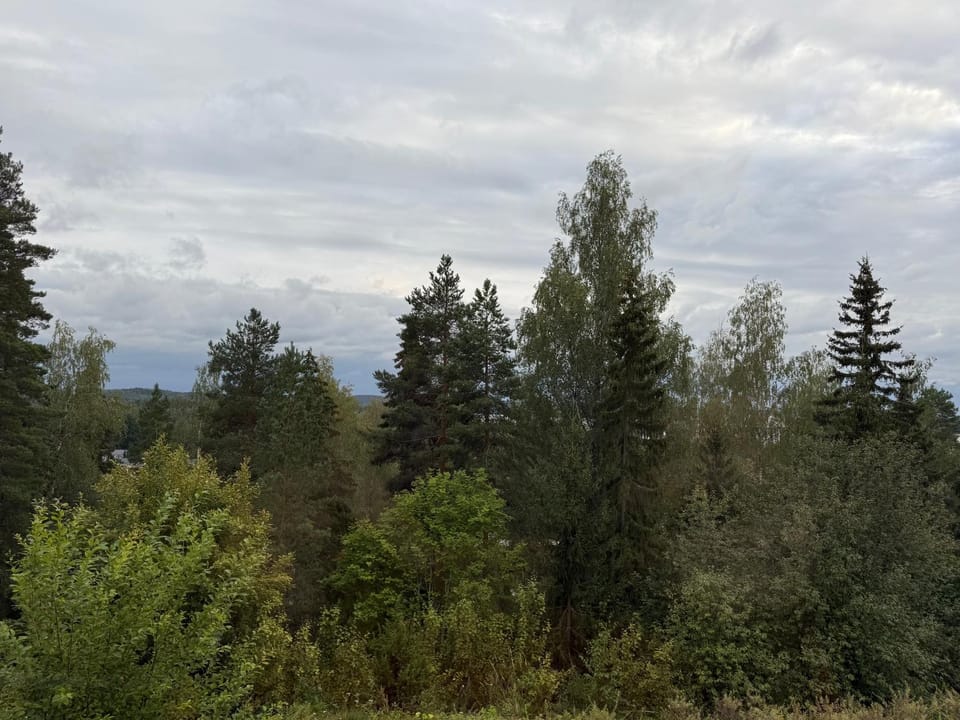 Natural landscape