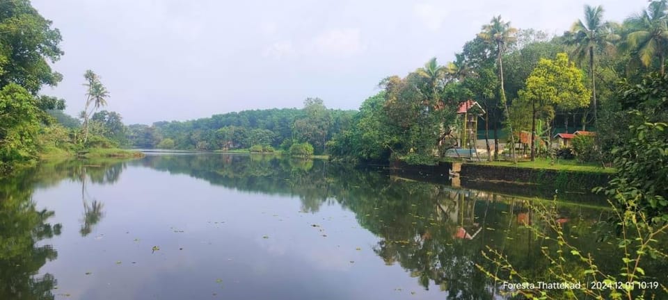 Foresta Thattekkadu Pool Resort Resort in Kerala