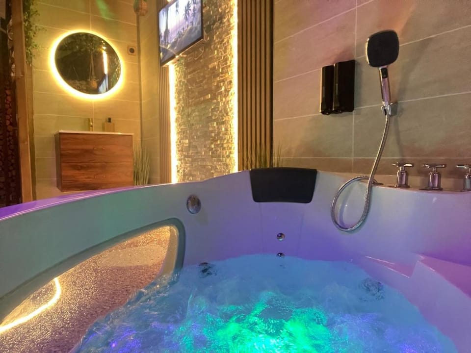 Jungle Room Jacuzzi Ambiance Tropicale Apartment in Epernay