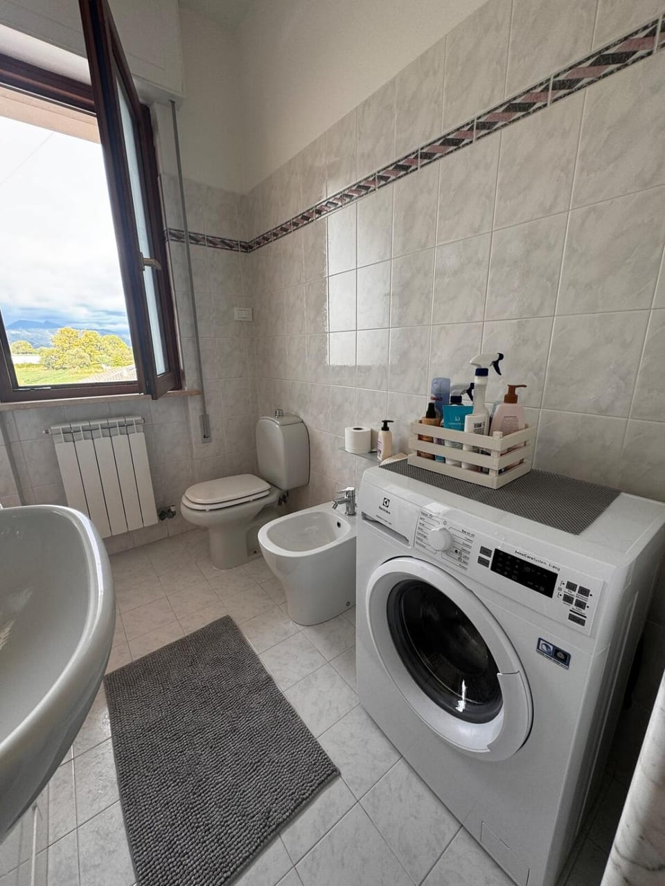 Toilet, Bathroom, bidet, washing machine