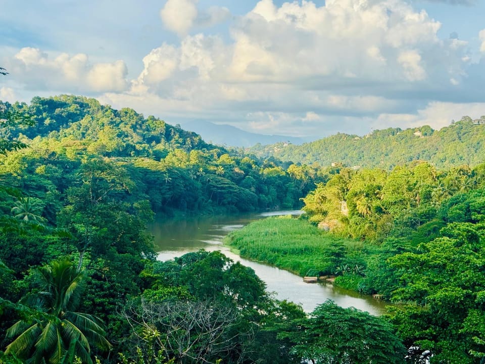 Natural landscape, Mountain view, River view