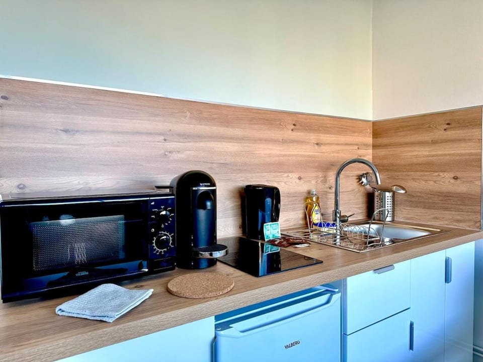 Le petit chartreux Apartment in Grenoble