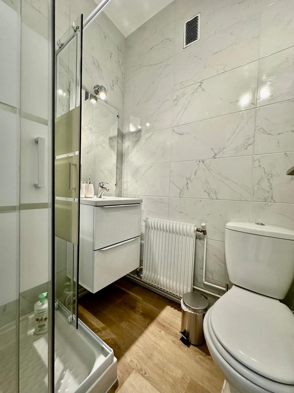 Le petit chartreux Apartment in Grenoble