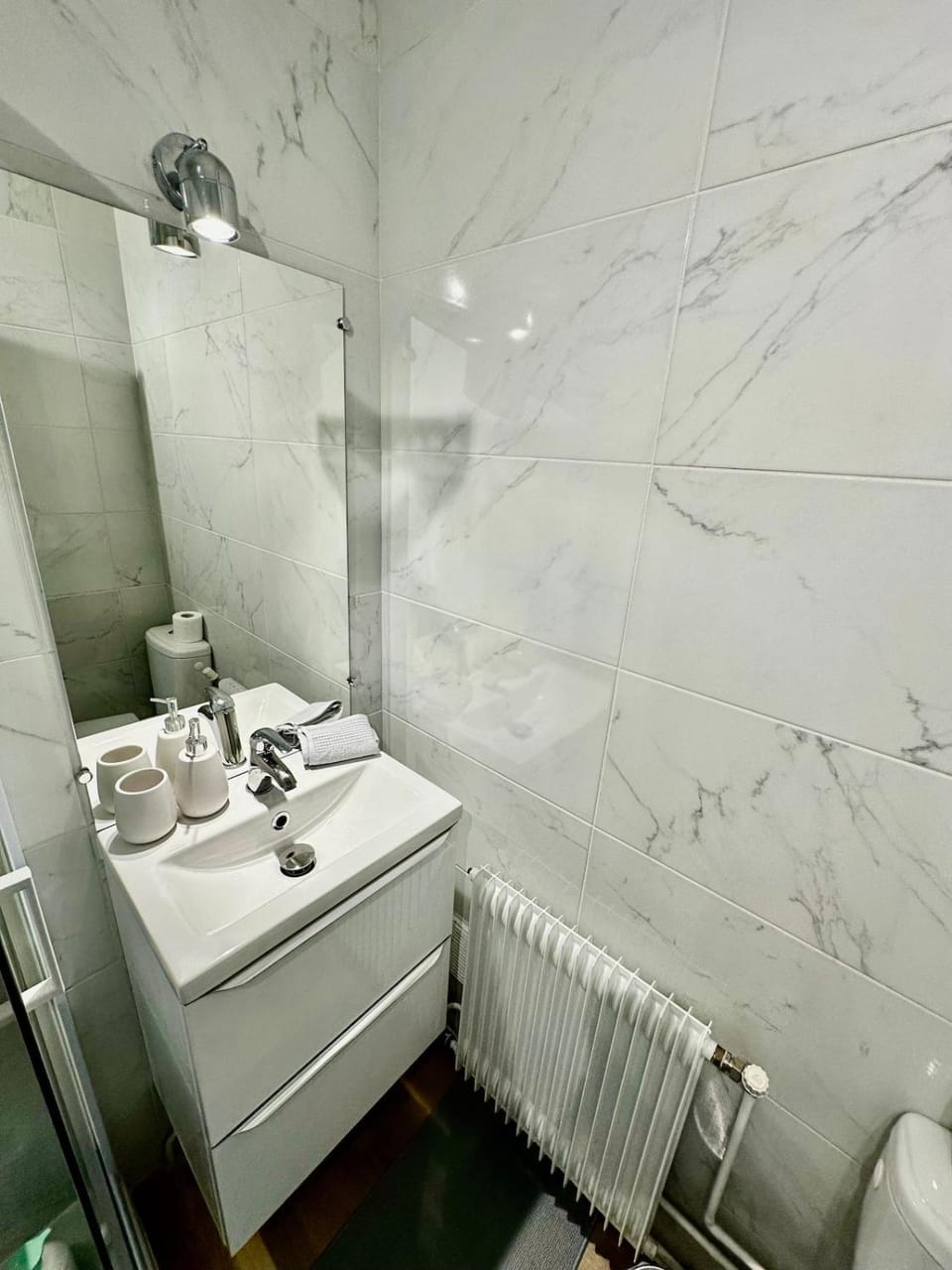 Le petit chartreux Apartment in Grenoble