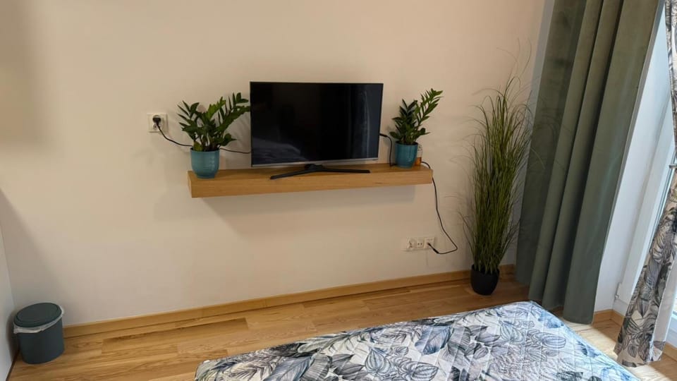 Communal lounge/ TV room, Bed, TV and multimedia, Photo of the whole room, Bedroom