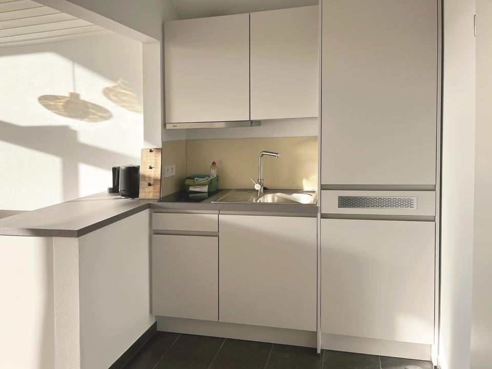 Kitchen or kitchenette, kitchen