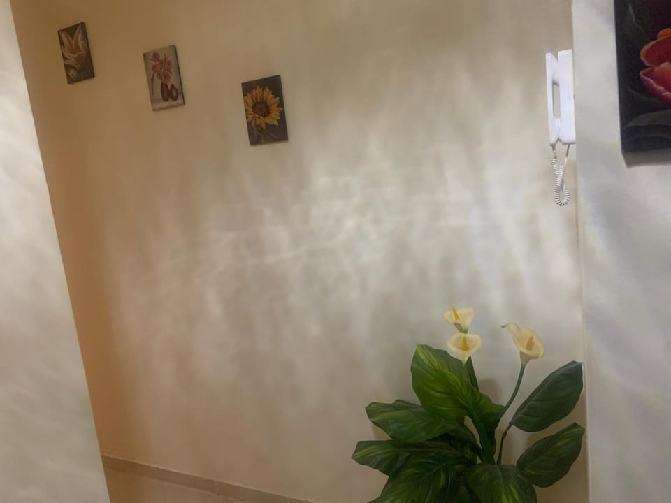 Appartement diar Marjane Apartment in Marrakesh
