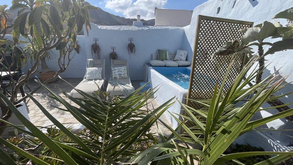 Patio, Day, Garden, Garden view