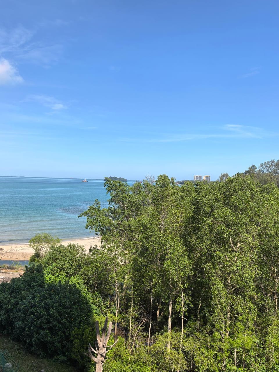 View (from property/room), Beach
