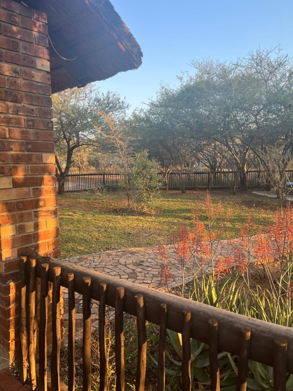 Day, Natural landscape, Garden, Garden, Garden view