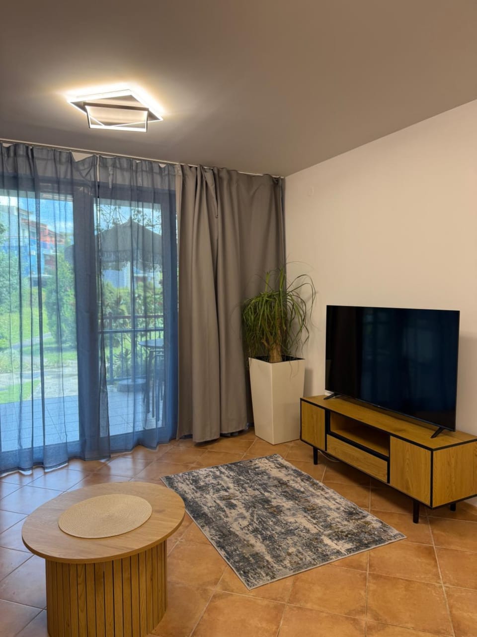 TV and multimedia