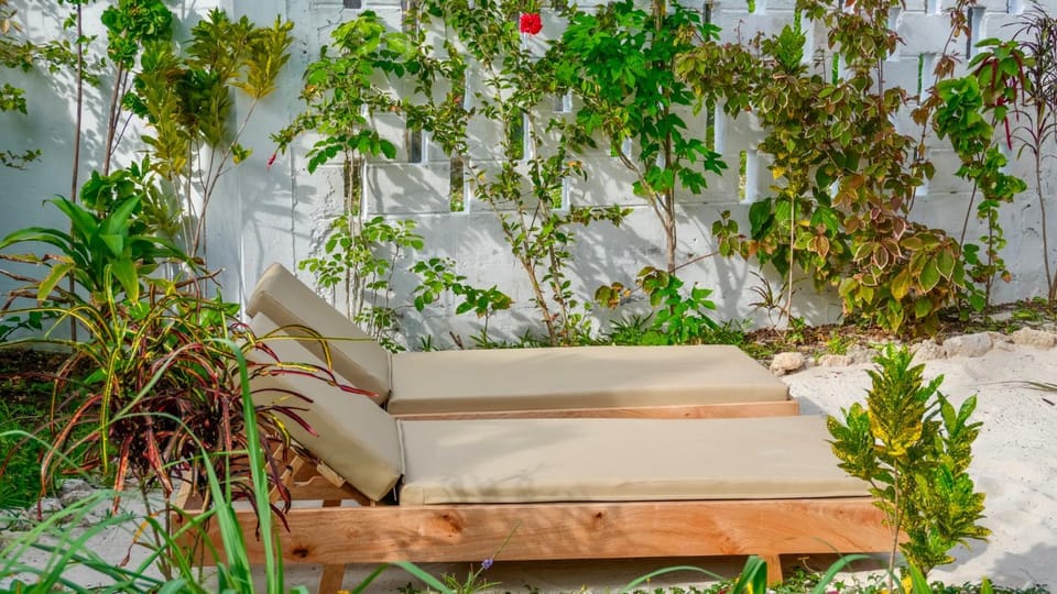 Garden, Garden view, sunbed