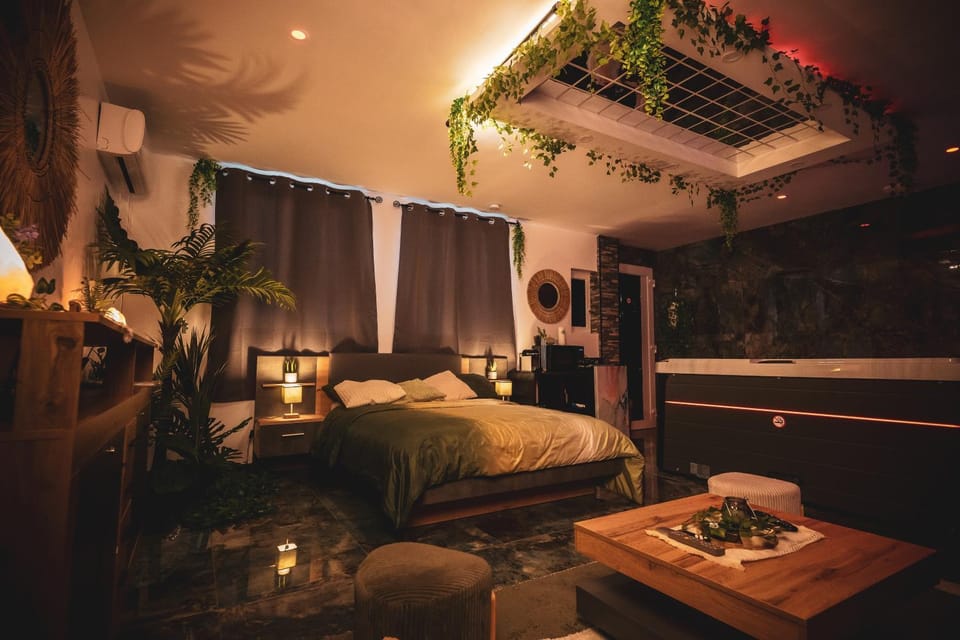 Suite Secret Emeraude Apartment in Avignon