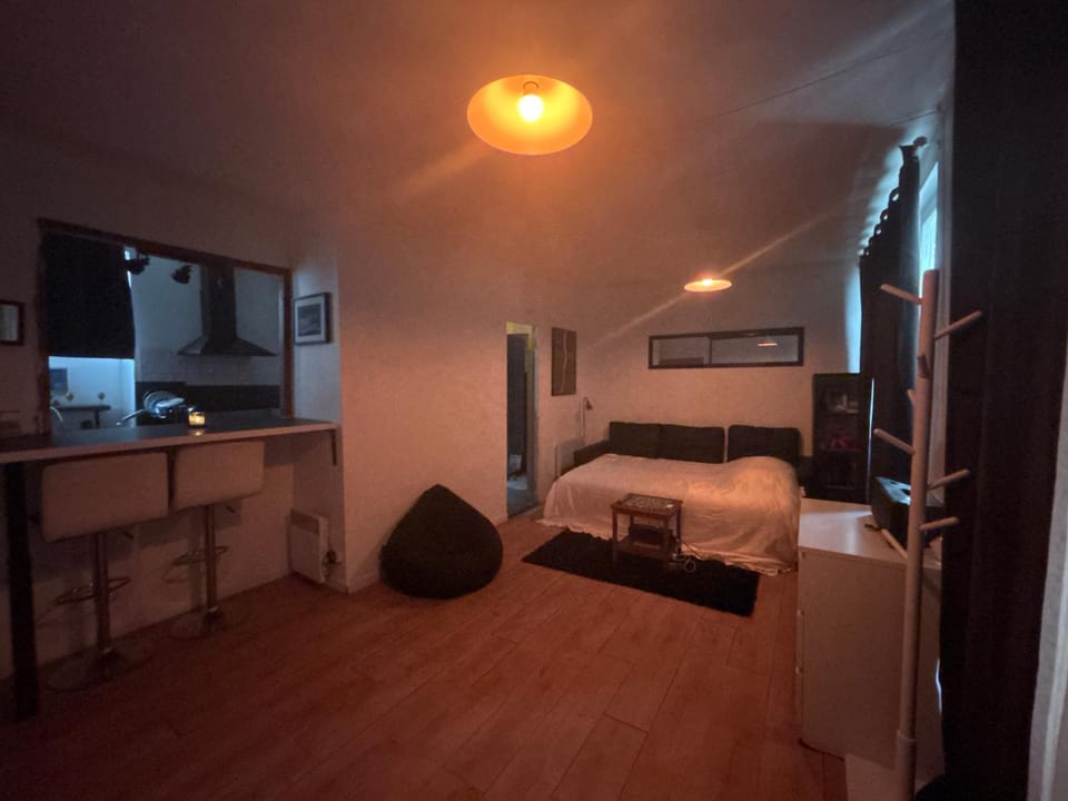 Grand Studio Paris Bastille Apartment in Paris