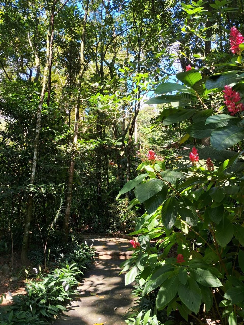Natural landscape, Garden, Hiking, Garden view