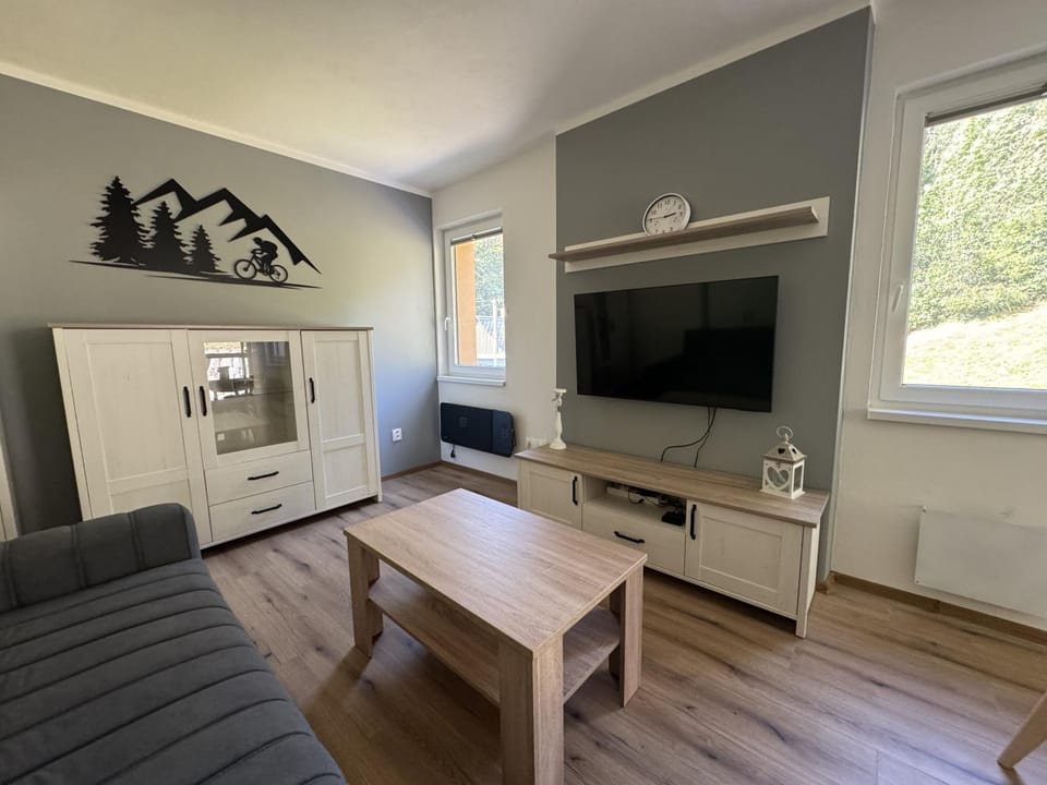 TV and multimedia, Living room