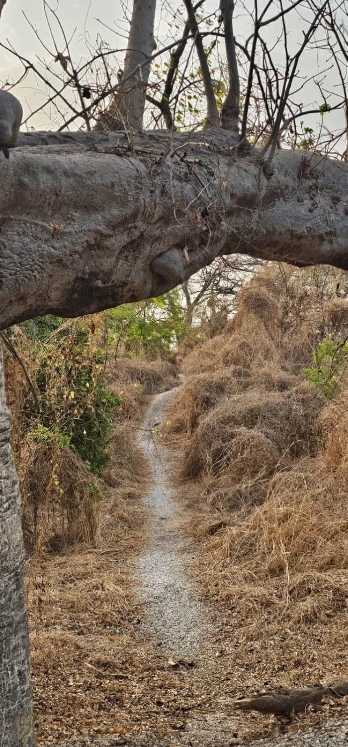Natural landscape