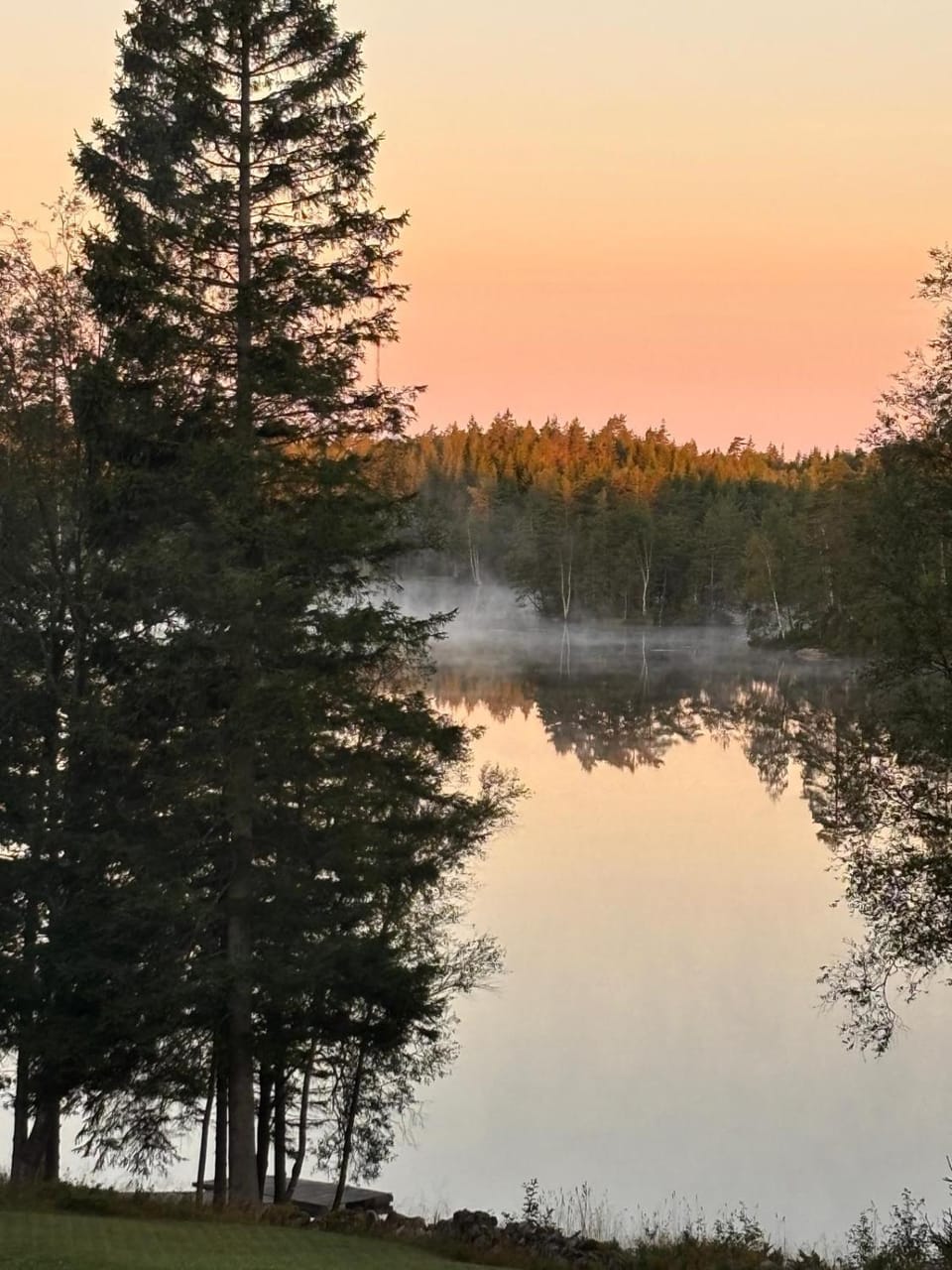 Lake view