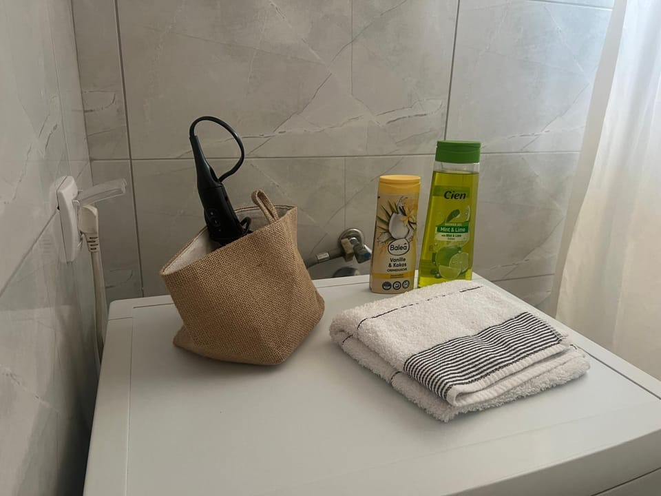 Tesla centar free parking Apartment in Serbia