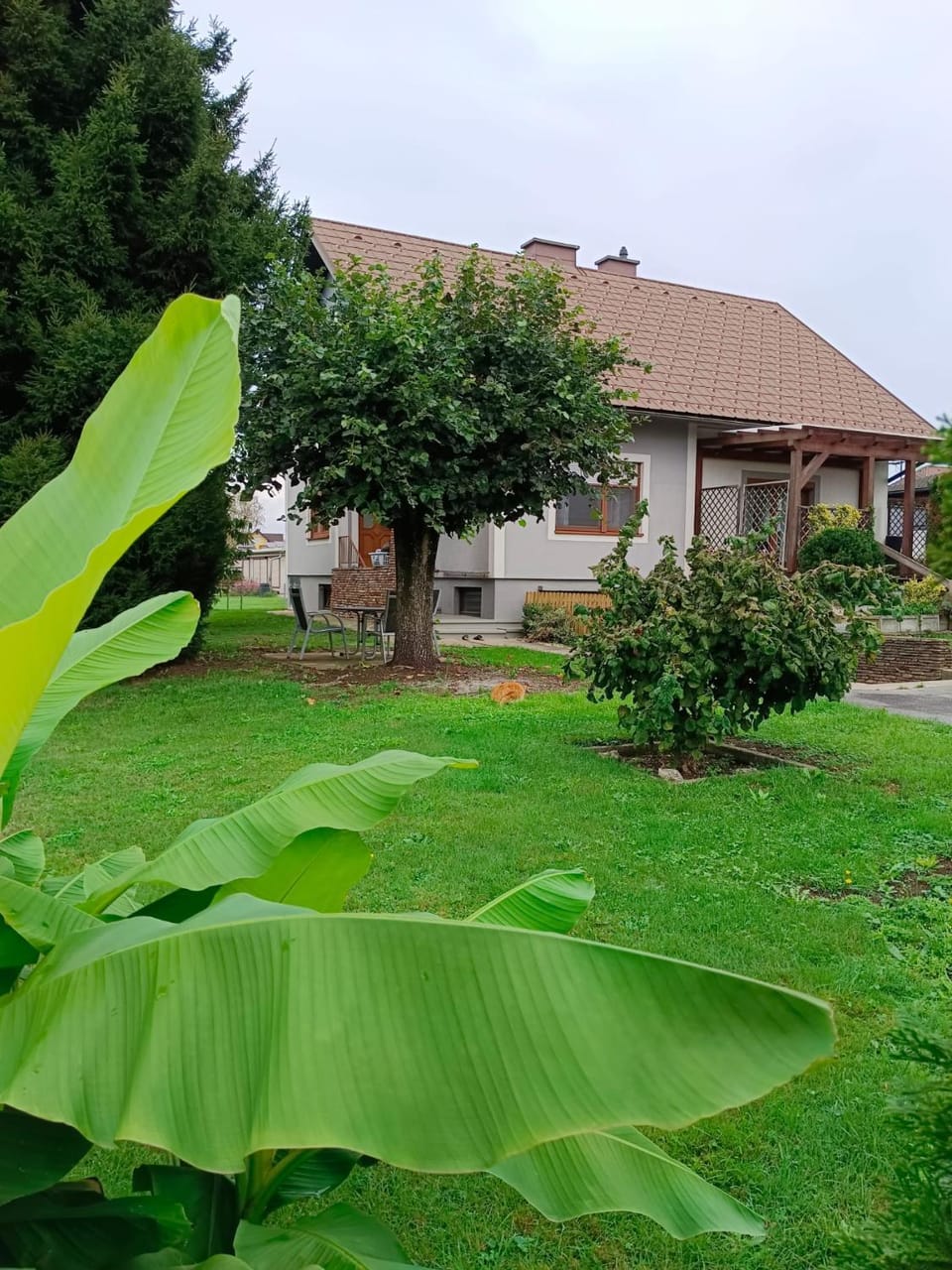 Property building, Garden