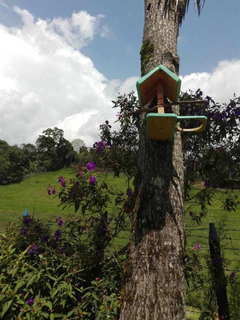 Eco-hostal Namaste Apartment in Quindio, Colombia