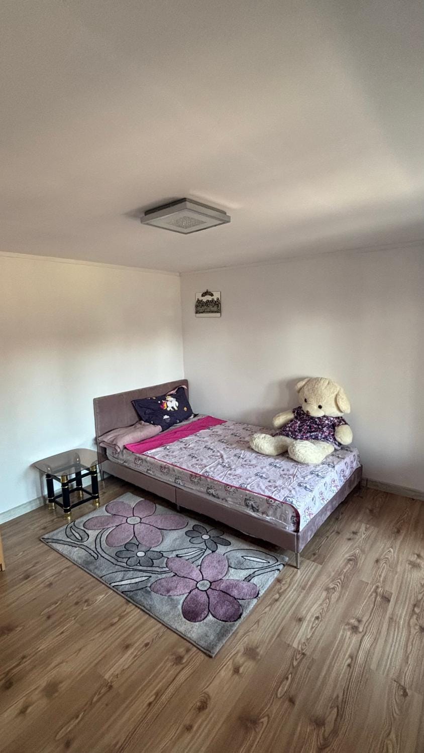 Gemini house House in Romania