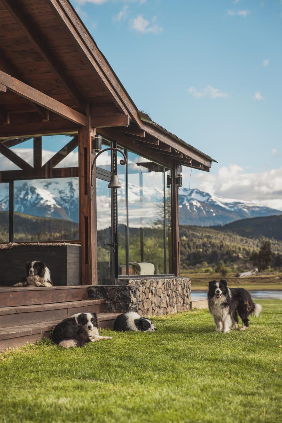 Day, Natural landscape, Pets, Mountain view