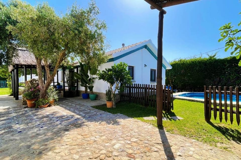 Property building, Patio, Garden, Garden view, Swimming pool