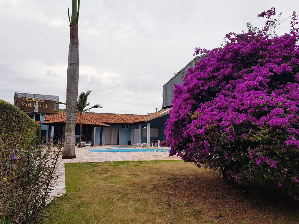 Spring, Garden, Garden view