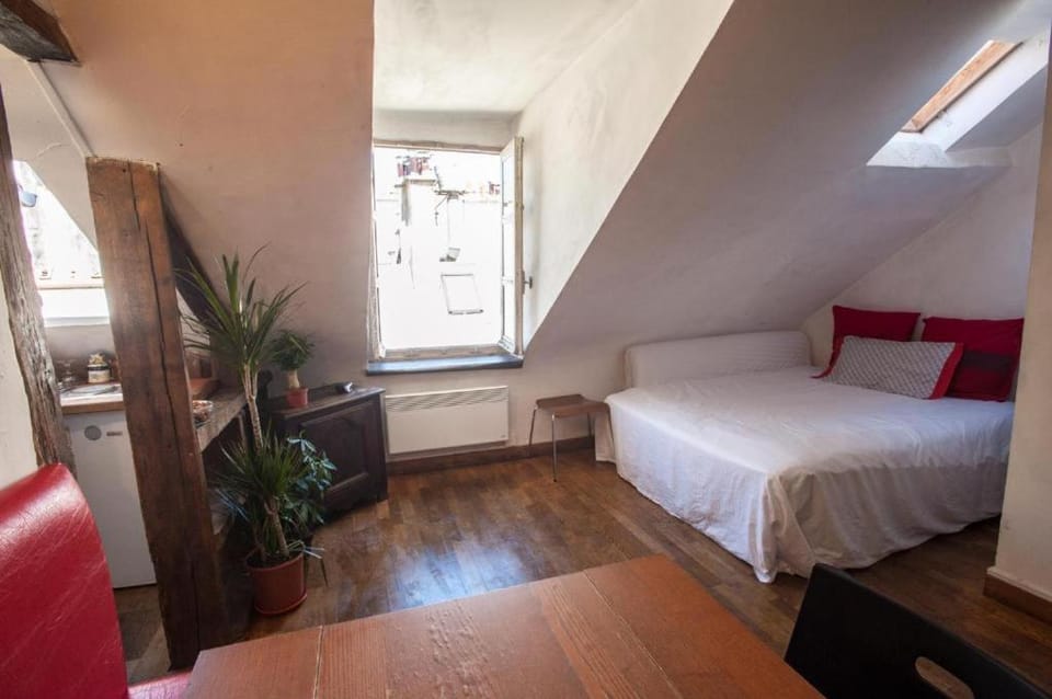 St Germain Rooftop Paris 6 Arro Apartment in Paris