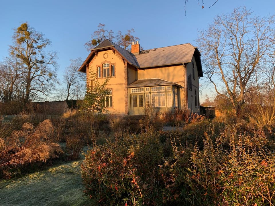 Property building, Day, Winter, Garden, Garden view