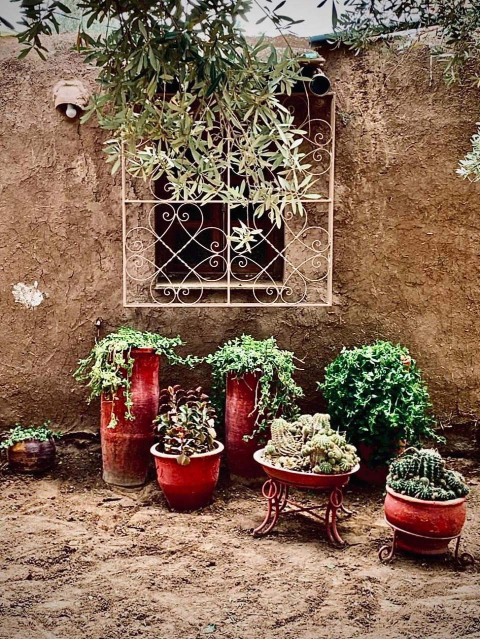 Countryside House House in Marrakesh-Safi