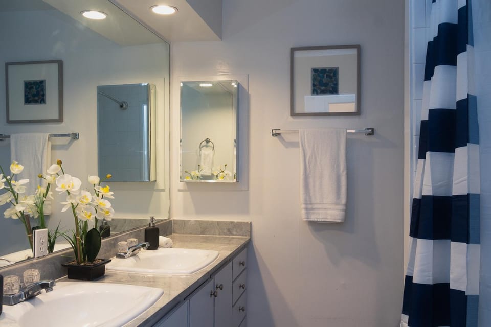 2BR Montrose Aquatic Dream House, Downtown, Medical Center House in Houston