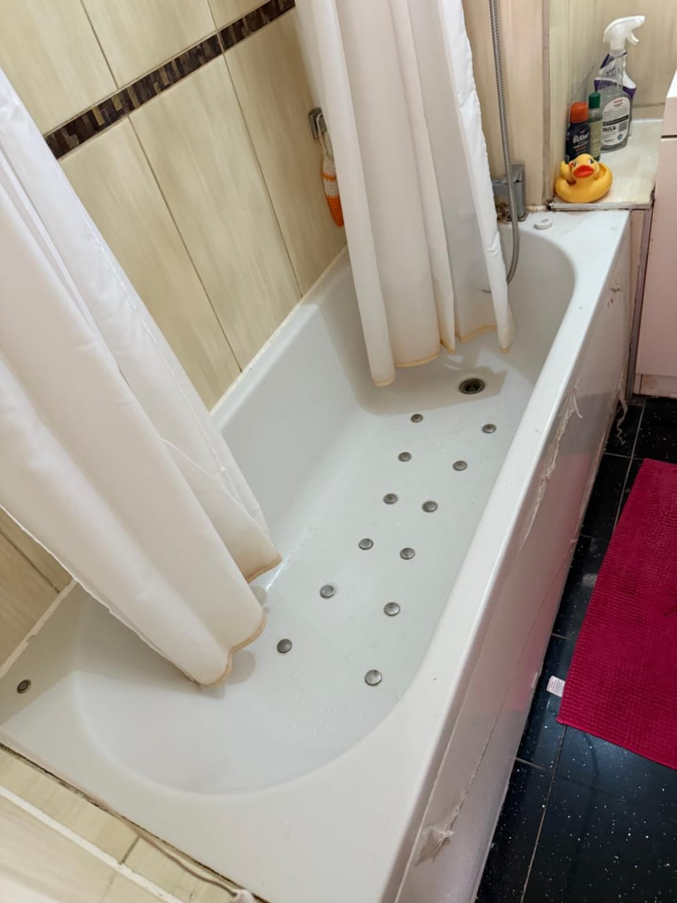 Lovely private Room Bed and Breakfast in London Borough of Hackney