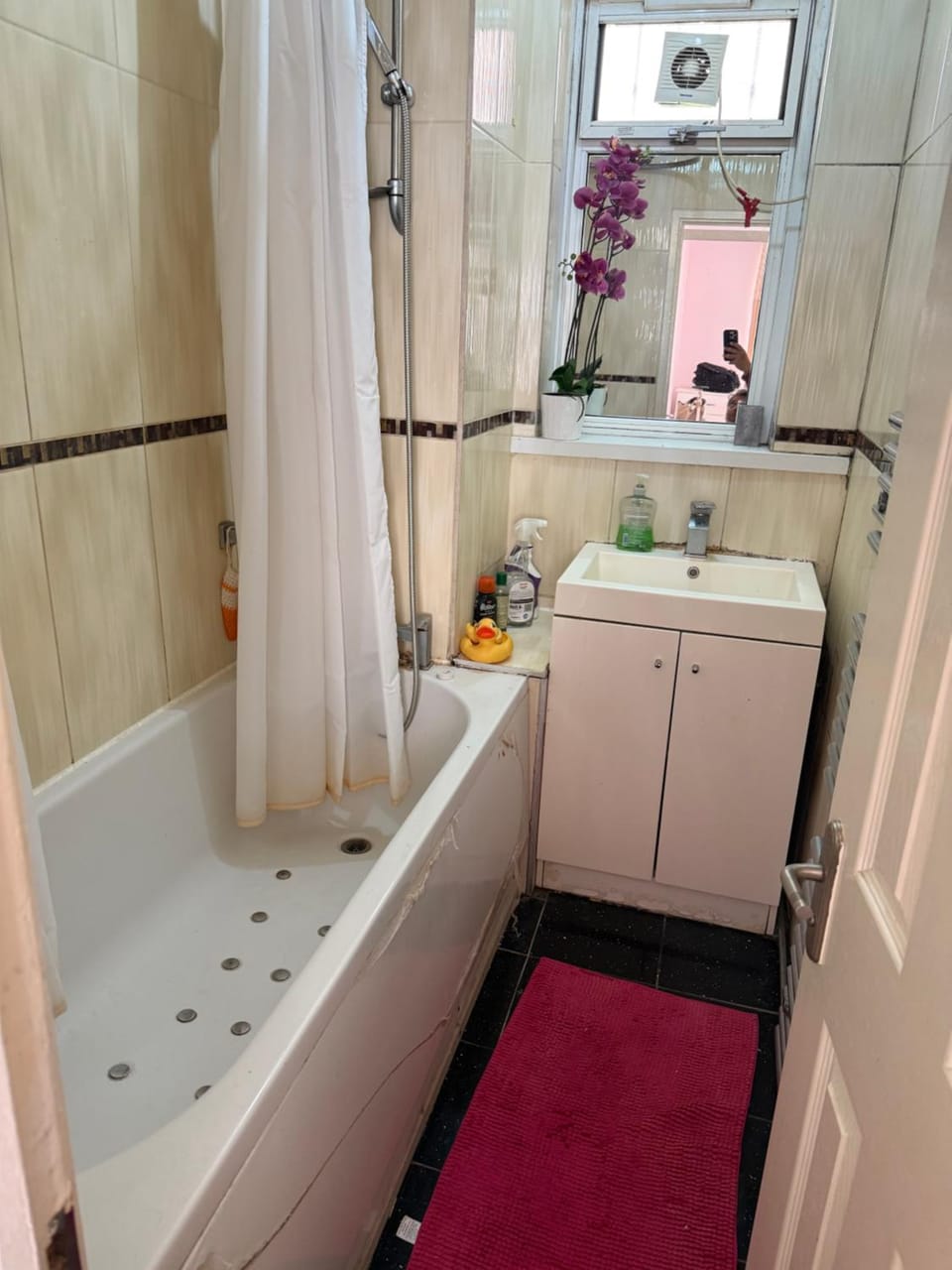 Lovely private Room Bed and Breakfast in London Borough of Hackney