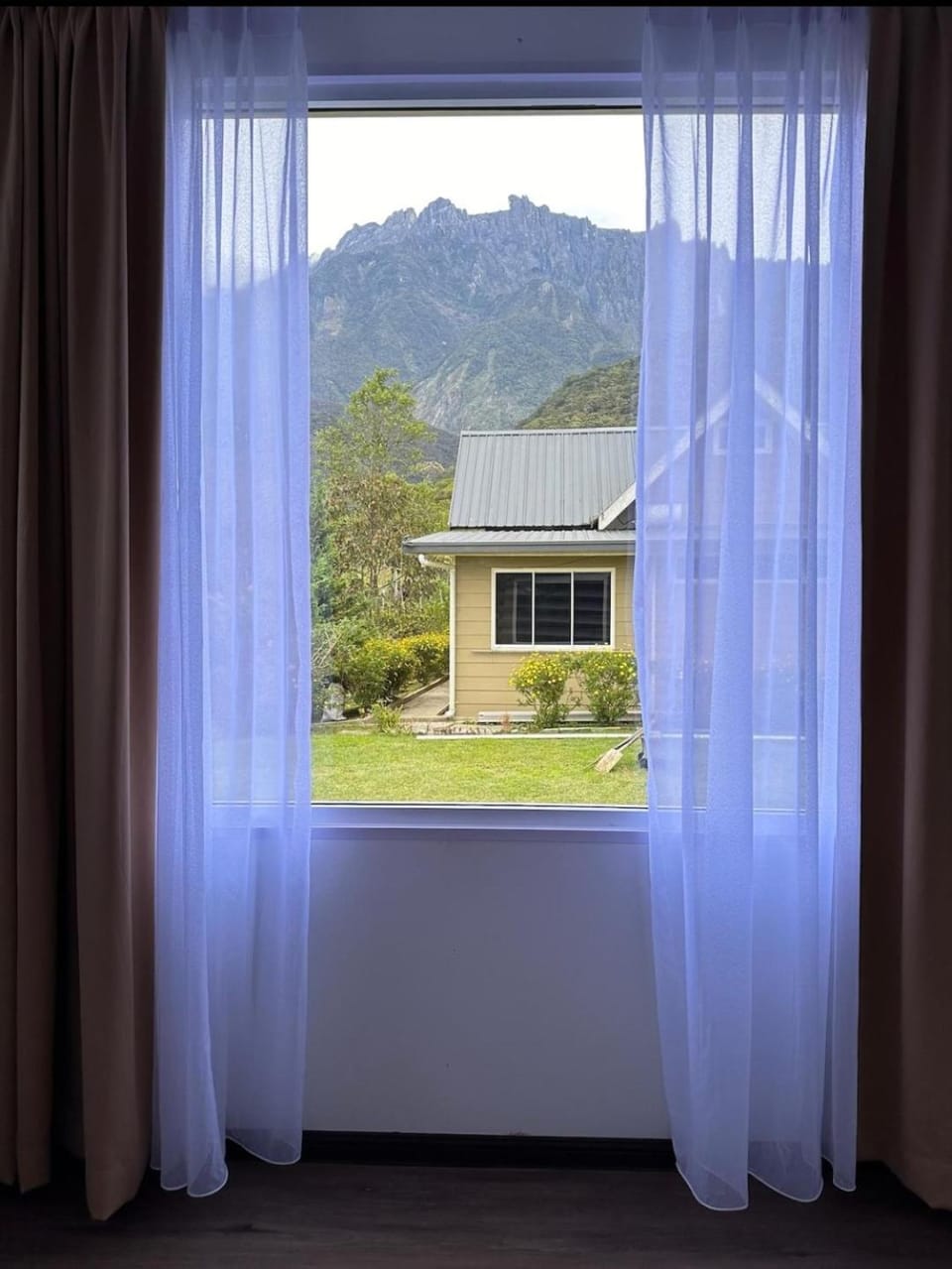 Garden view