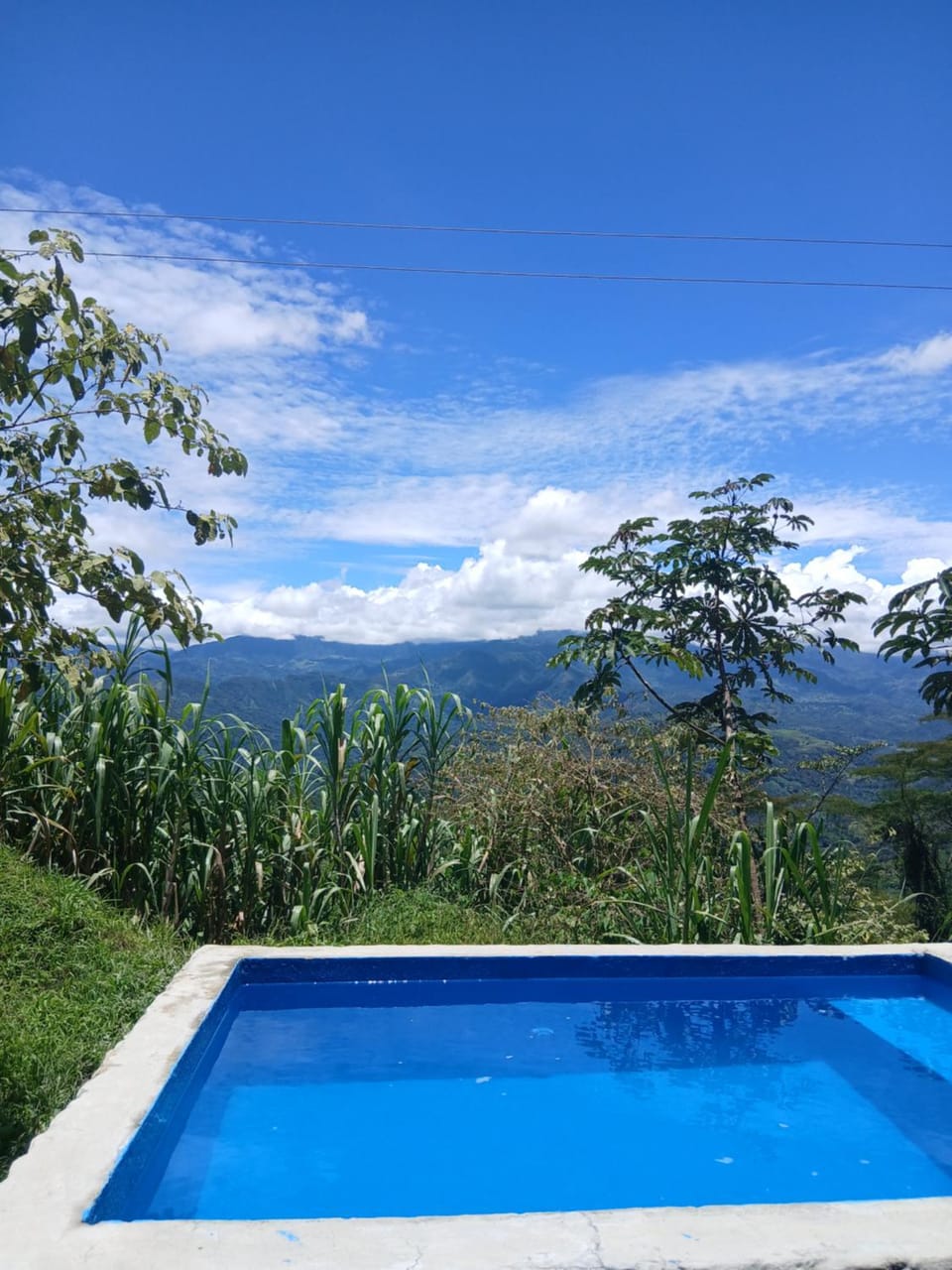 Mountain view