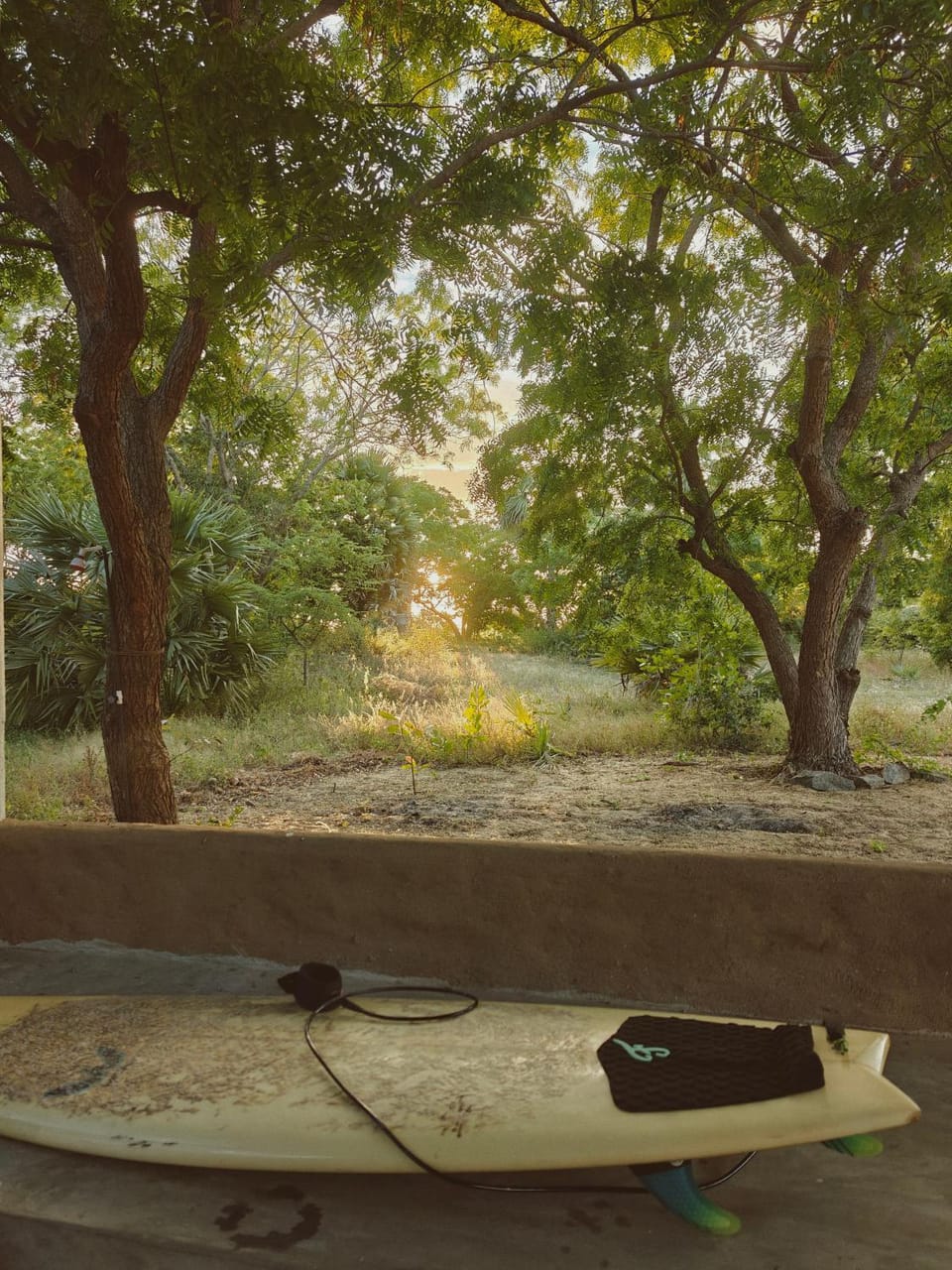Natural landscape, Garden, Garden view