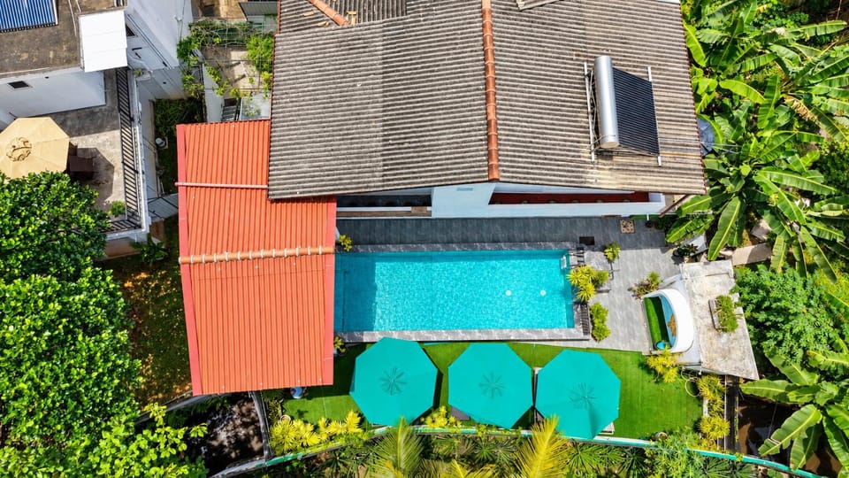 Property building, Patio, Day, Garden, Garden view, Pool view, Swimming pool, sunbed
